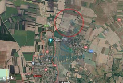 Teren de 16000 mp, în Biharia - 1