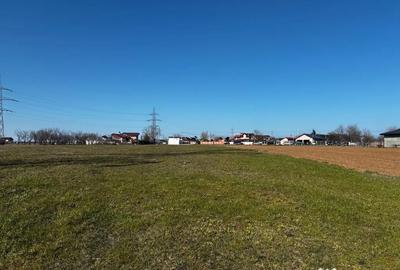 Teren în Movila (Niculești) - 3