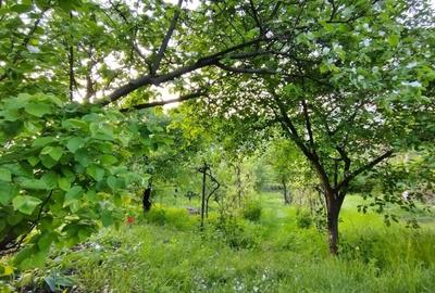 Casă cu 4 camere în Gruia