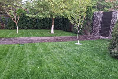 Casă cu 5 camere cu Teren 4000 Mp în Pantelimon - 10