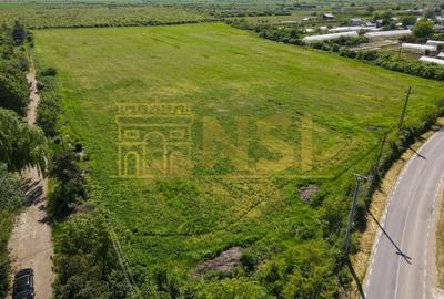 Teren Construcții intravilan de 375600 mp, în Mogoșești