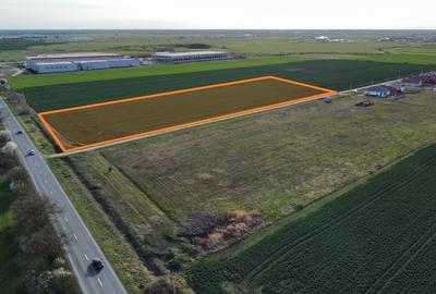 Teren Construcții intravilan de 4923 mp, în Sânandrei - 1