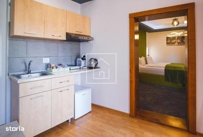 Apartament cu 2 camere în Paltin - 3