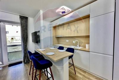 Studio luminos de vanzare 2022 + parcare, Sinaia, ideal regim hotelier - 2