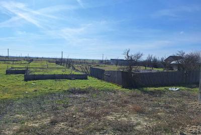 Teren de 1000 mp, în Vădeni - 4