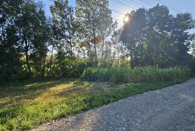 Teren Construcții intravilan de 7500 mp, în Moara Carp - 14