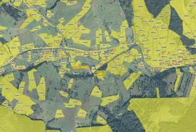 Casă cu Teren 4880 Mp în Argel - 1