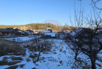 Casă cu 6 camere cu Teren 2803 Mp în Central - 28