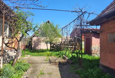 Casa la tara cu moara si trifazic laslau mare, Mures - 2
