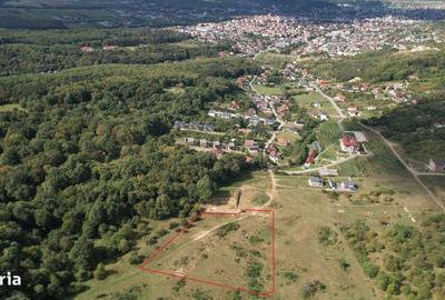 Spațiu comercial, în Central - 1