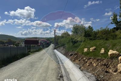Teren de 2307 mp, în Ciurila - 6