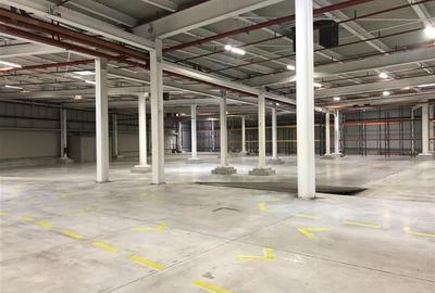Inchiriere depozit/hala/spatiu industrial Chiajna - A1 - Centura - 7