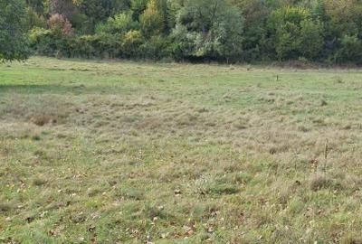 Vând teren 4 euro mp MEHADIA la 8km de BĂILE HERCULANE - 7