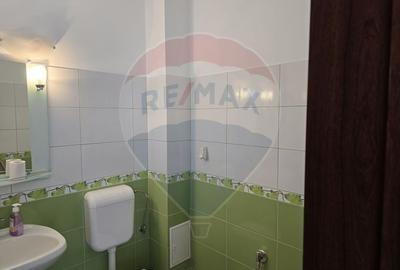 Casa / Vila cu 7 camere de vanzare - 10