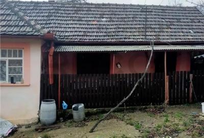 Casă cu 3 camere cu Teren 2650 Mp în Burzuc - 5