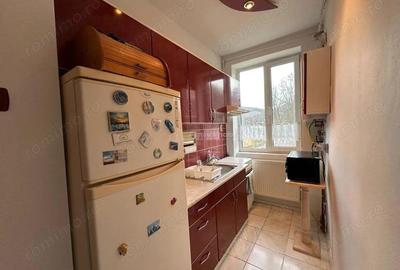 Apartament cu 2 camere decomandat în Marginea - 9