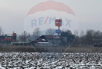 Teren de 6210 mp, în Ciolpani - 6
