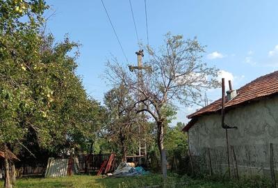 Teren de 1273 mp, în Cislău - 3