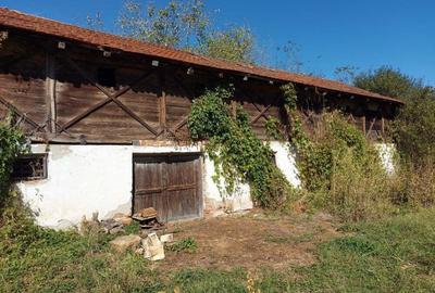 Casa cu teren 11414 mp , Vladimir-Andreesti , Jud.Gorj Pret 60000 - 10