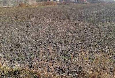 Teren de 6872 mp, în Săucești - 5