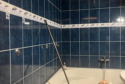 Oltenitei Berceni Metrou 3 minute - 17