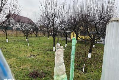 Casă cu Teren 800 Mp în Central - 7