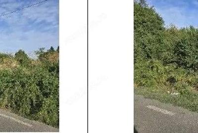 Teren intravilan Stefanestii de Jos cota parte 1/5, ID: R2830977 - 2