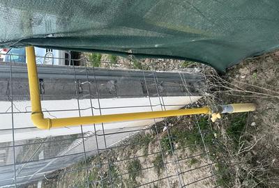 Casă cu 2 camere în Paleu - 1