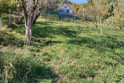 Casă cu 2 camere în Sighișoara - 5