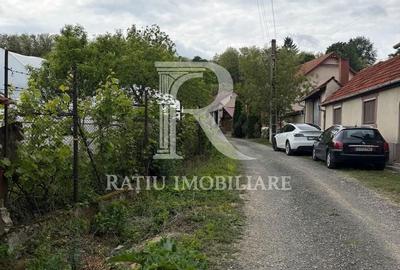 Casă cu 3 camere în Remetea - 3