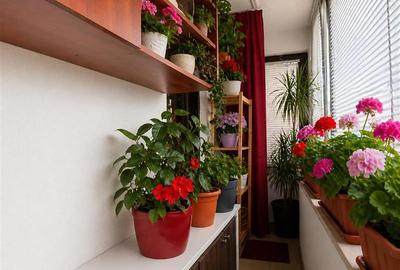 Apartament cu 2 camere decomandat, mobilat în Aeroport - 1