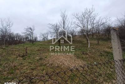 Casă cu 2 camere în Tibru - 4