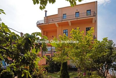 Vila 9 camere Cotroceni- Parcul Operei - 6