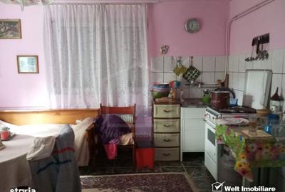 Casă cu 3 camere cu Teren 3320 Mp în Căpușu Mare - 14