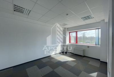 Spatii birouri, 440 pana la 1350 mp, Zona Lipovei - 3