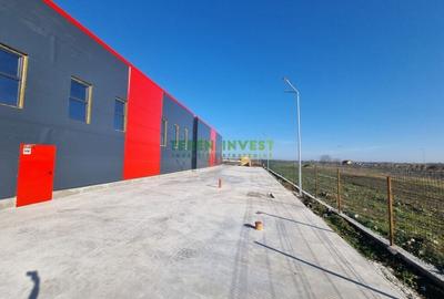Hala Industriala de Vanzare  Locatie Ideala pentru Afacerea Ta! - 3