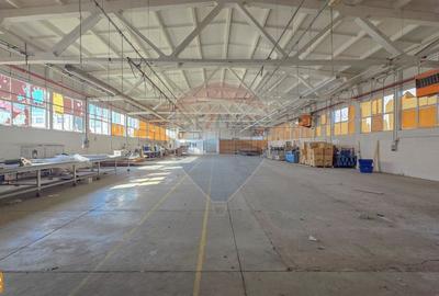 Spațiu industrial, de 5,211 mp, în Central - 42