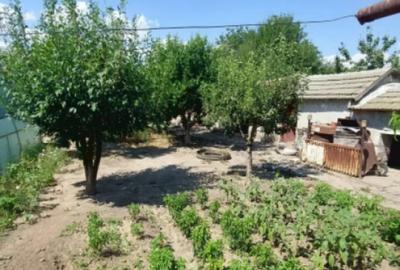 Casă cu 3 camere cu Teren 800 Mp în Cobadin - 6