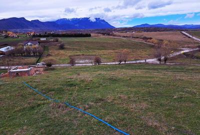 Spațiu comercial, în Central - 6