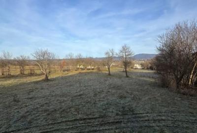 Casă cu 3 camere cu Teren 2500 Mp în Șindrești - 17