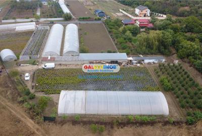 Teren de 9529 mp, în Mihăilești - 6