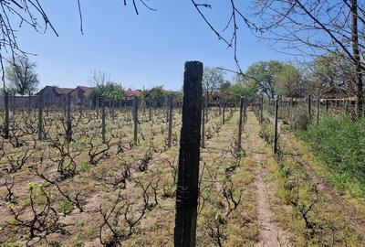 Casa de vanzare comuna Ianca judetul Olt - 5