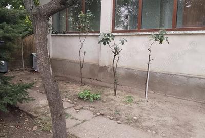 Spațiu comercial, de 60 mp, în Central - 1