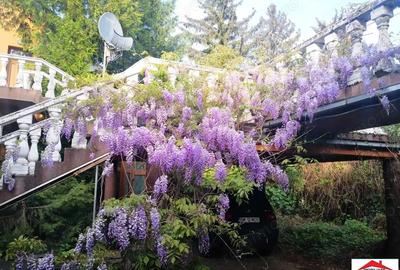 Casă cu 2 camere în Titulescu - 5