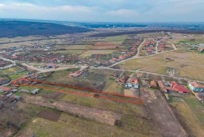 De vanzare Casa + Teren 2685 mp Intravilan, Betfia, Bihor - 7