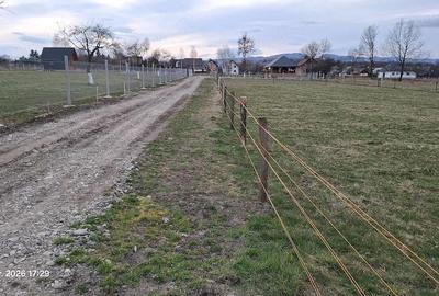 Teren de 600 mp, în Ocna Șugatag - 1