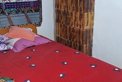 Casă cu 2 camere cu Teren 560 Mp în Troianul - 2