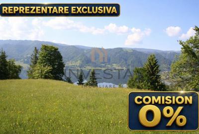 Teren Construcții intravilan de 12588 mp, în Tiha Bârgăului - 1