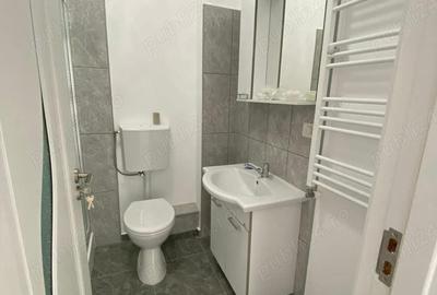 Garsonieră în Dumbrăvița - 1