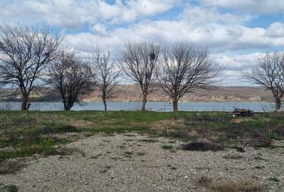 Teren de 1000 mp, în Vrancea - 6